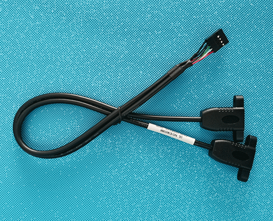 上海Dupont 10P TO dual USB2.0A female extension cord